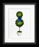 Topiaries 2 Framed Print