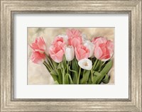Pink And White Tulips Fine Art Print
