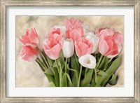 Pink And White Tulips Fine Art Print
