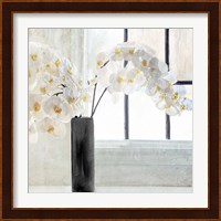 Orchid Window Fine Art Print