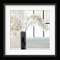 Orchid Window Fine Art Print