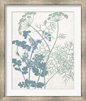 Linen Herbs 1 Fine Art Print