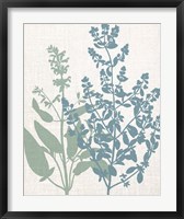 Linen Herbs 2 Fine Art Print