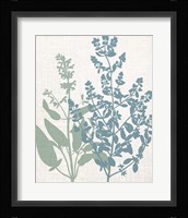 Linen Herbs 2 Framed Print