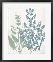Linen Herbs 2 Framed Print