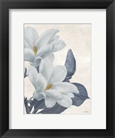 Magnolia Blues 1 Fine Art Print
