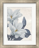 Magnolia Blues 1 Fine Art Print