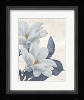 Magnolia Blues 1 Fine Art Print