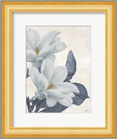 Magnolia Blues 1 Fine Art Print