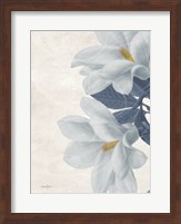Magnolia Blues 2 Fine Art Print