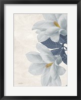 Magnolia Blues 2 Fine Art Print