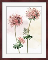 Watercolor Crosswort Fine Art Print