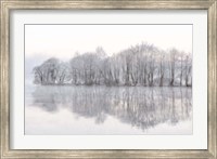 Mist Lake Fine Art Print