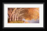 Quiet Autumn Pond Fine Art Print