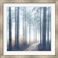 Forest Road Fine Art Print