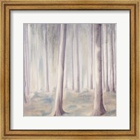 Forest Dreams 1 Fine Art Print