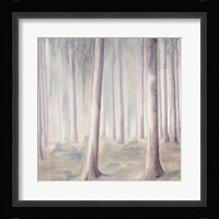 Forest Dreams 1 Framed Print