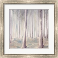 Forest Dreams 1 Fine Art Print