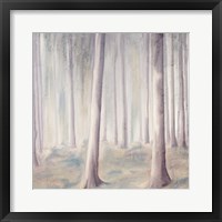 Forest Dreams 1 Framed Print
