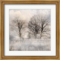 Winter Frost 1 Fine Art Print