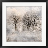 Winter Frost 1 Fine Art Print