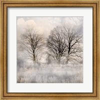 Winter Frost 1 Fine Art Print