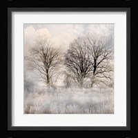 Winter Frost 1 Framed Print