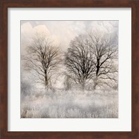 Winter Frost 1 Fine Art Print