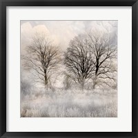 Winter Frost 1 Framed Print