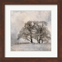 Winter Frost 2 Fine Art Print