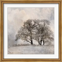 Winter Frost 2 Fine Art Print