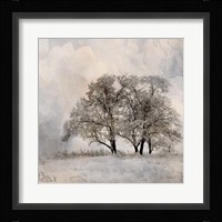 Winter Frost 2 Framed Print