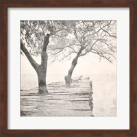 Tree Pier Fine Art Print