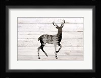Deer 1 Framed Print