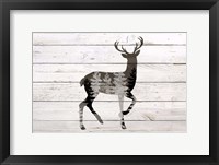 Deer 1 Framed Print