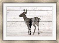 Deer 2 Fine Art Print