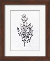 Pressed Herbs 1 Fine Art Print