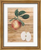 Pressed Fruit 1 Fine Art Print