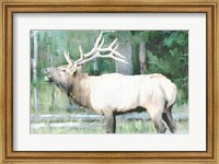 Linen Pressed Elk Fine Art Print