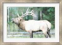 Linen Pressed Elk Fine Art Print