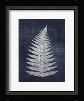 Fern 1 Fine Art Print