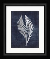 Fern 2 Fine Art Print