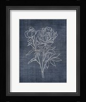 White Peony on Navy 2 Framed Print