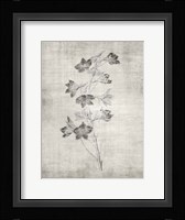 Sepia Botanical 3 Framed Print