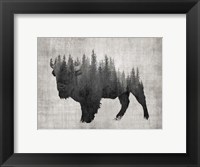 Pine Bison Fine Art Print