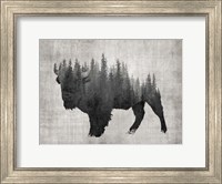 Pine Bison Fine Art Print