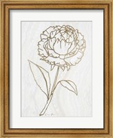 Golden Peony 1 Fine Art Print