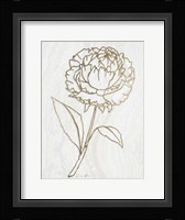 Golden Peony 1 Framed Print