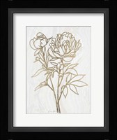 Golden Peony 2 Framed Print