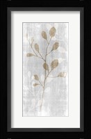 Botanical Stem 2 Framed Print